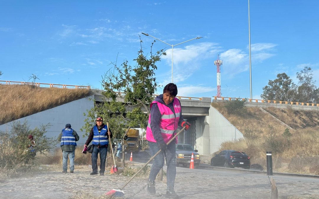 Se unen Silao y León para desyerbar y limpiar el distribuidor vial Comanjilla-Refugio de los Sauces